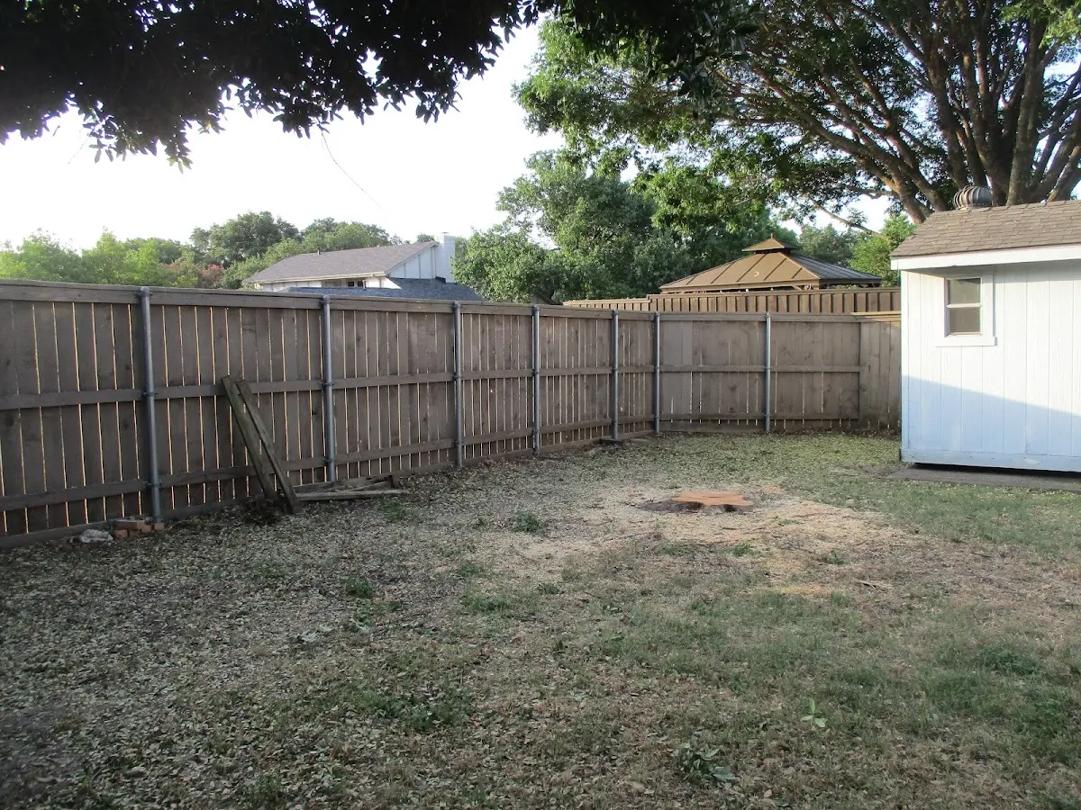 Cleared yard after professional tree removal in Willamina